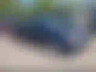 Vehicle Image- 2007 Kia Spectra