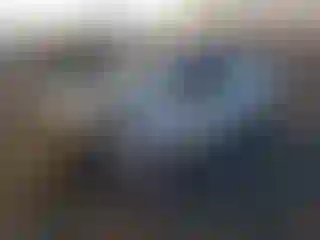 Vehicle Image- 2016 Kia Forte