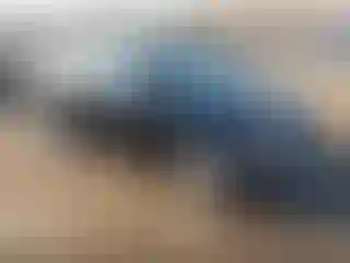Vehicle Image- 2010 Kia Forte