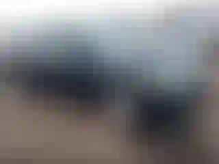 Vehicle Image- 2010 Kia Forte