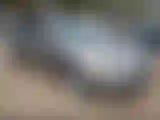 Vehicle Image- 2011 Kia Forte