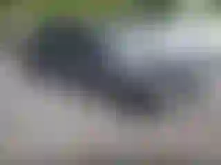 Vehicle Image- 2014 Kia Forte