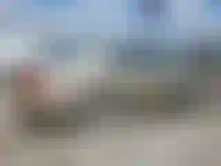 IMPORTOWO.pl