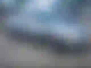 Vehicle Image- 2004 Kia Optima