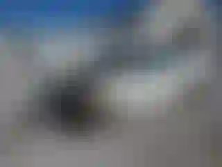 Vehicle Image- 2007 Kia Optima