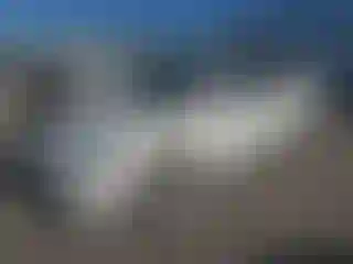 Vehicle Image- 2008 Kia Optima