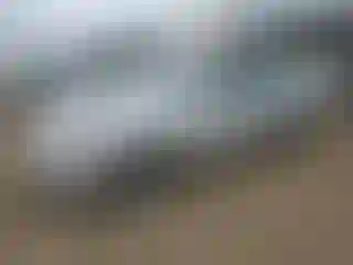 Vehicle Image- 2009 Kia Optima