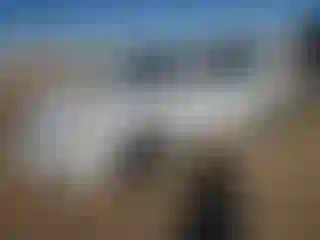 Vehicle Image- 2009 Kia Optima