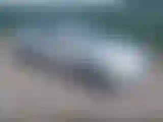 Vehicle Image- 2009 Kia Optima