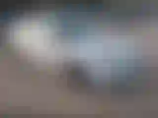 Vehicle Image- 2013 Kia Optima