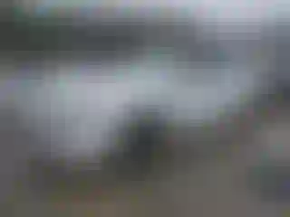 Vehicle Image- 2016 Kia Optima