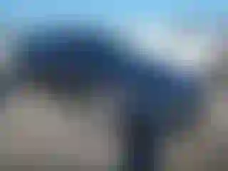 Vehicle Image- 2017 Kia Optima