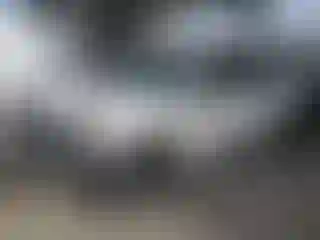 Vehicle Image- 2020 Kia Niro