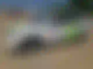 Vehicle Image- 2019 Kia Niro
