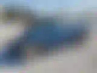 Vehicle Image- 2019 Kia Niro