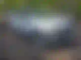 Vehicle Image- 2019 Kia Niro