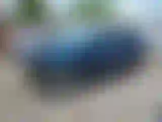 Vehicle Image- 2020 Kia Niro