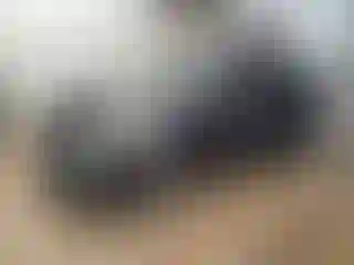 Vehicle Image- 2022 Kia Niro