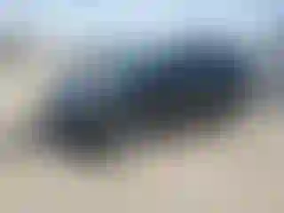 Vehicle Image- 2022 Kia Niro