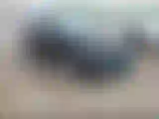 Vehicle Image- 2022 Kia Niro
