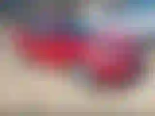 Vehicle Image- 2021 Kia Niro