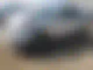 Vehicle Image- 2020 Kia Niro