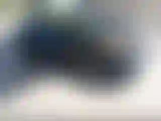 Vehicle Image- 2022 Kia Niro