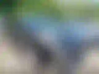 Vehicle Image- 2022 Kia Niro