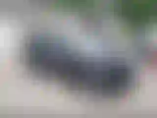 Vehicle Image- 2019 Kia Niro