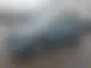 Vehicle Image- 2024 Kia Niro
