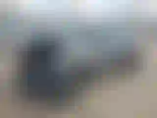 Vehicle Image- 2024 Kia Niro