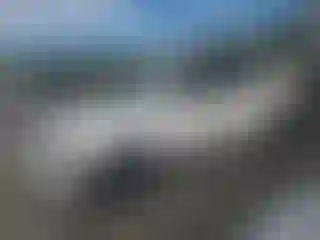 Vehicle Image- 2024 Kia Niro