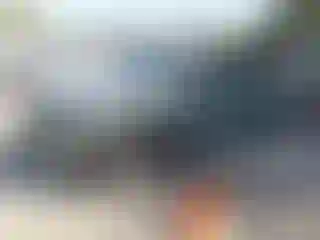 Vehicle Image- 2024 Kia Niro