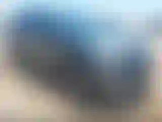Vehicle Image- 2024 Kia Niro