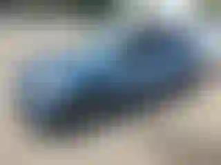 Vehicle Image- 2024 Kia Niro