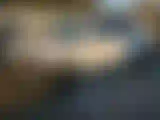 Vehicle Image- 2023 Kia Niro