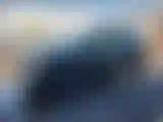 Vehicle Image- 2023 Kia Niro