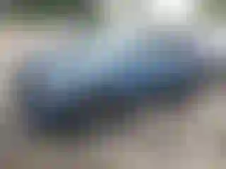Vehicle Image- 2024 Kia Niro