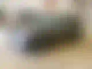 Vehicle Image- 2024 Kia Niro