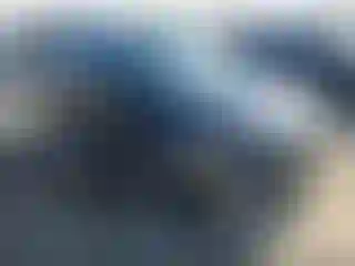 Vehicle Image- 2024 Kia Niro