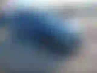 Vehicle Image- 2024 Kia Niro