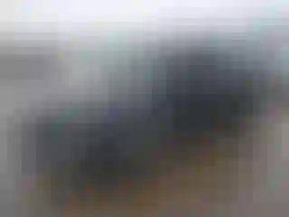 Vehicle Image- 2023 Kia Niro