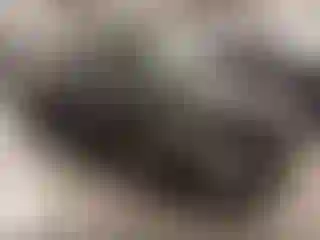 Vehicle Image- 2023 Kia Niro