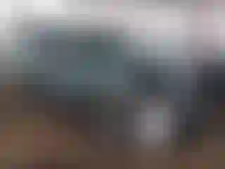 Vehicle Image- 2023 Kia Niro