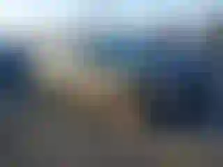 Vehicle Image- 2025 Kia Niro