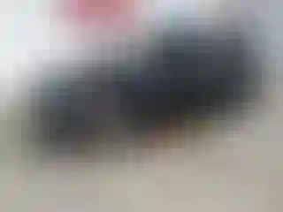 Vehicle Image- 2024 Kia Niro