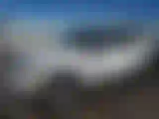 Vehicle Image- 2023 Kia Seltos