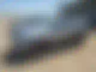 Vehicle Image- 2021 Kia Seltos