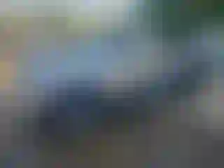 Vehicle Image- 2023 Kia Seltos