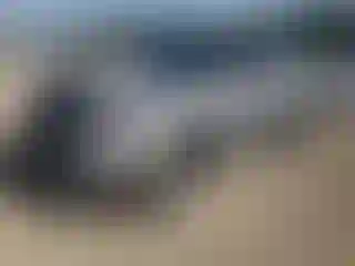 Vehicle Image- 2022 Kia Seltos